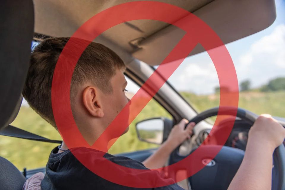 ������ ��������: ���� �� ����: ����� �����, ����� ��������� � �����������