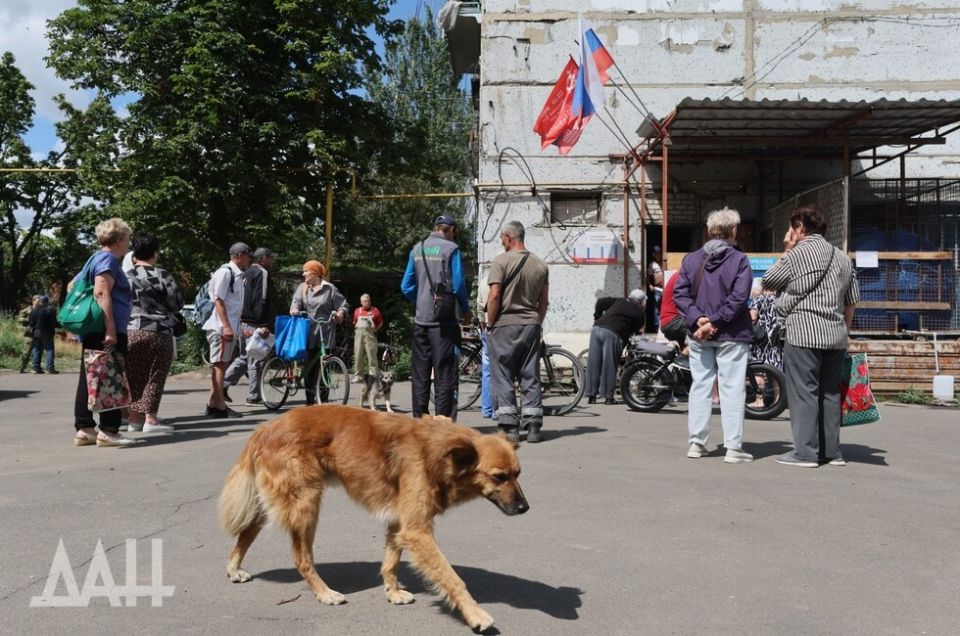 Курахово: вопреки всему, жизнь налаживается