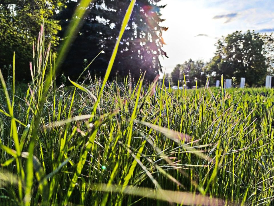 Игорь Лызов: Доброе утро, Амвросиевский муниципальный округ!