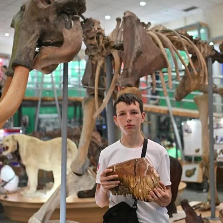 ��������� �������: ���������� �������� ����� ������� � �������