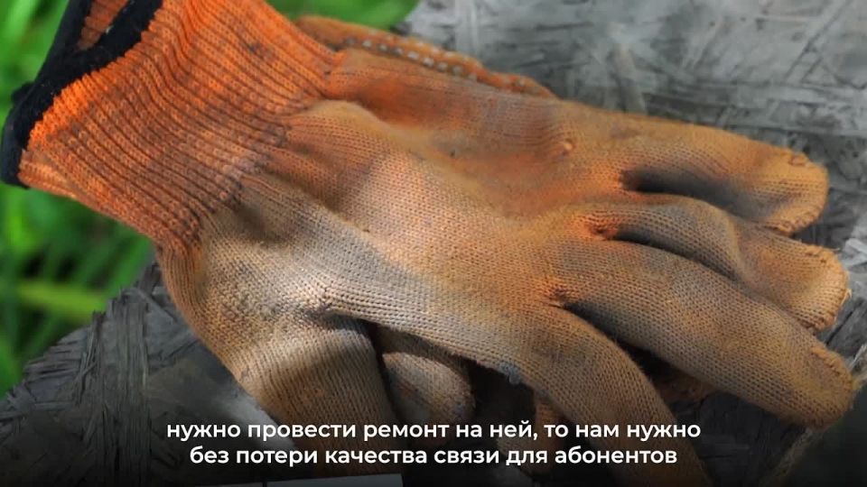 � �������� ���������� ������ �� �������� ���� ����� "������"