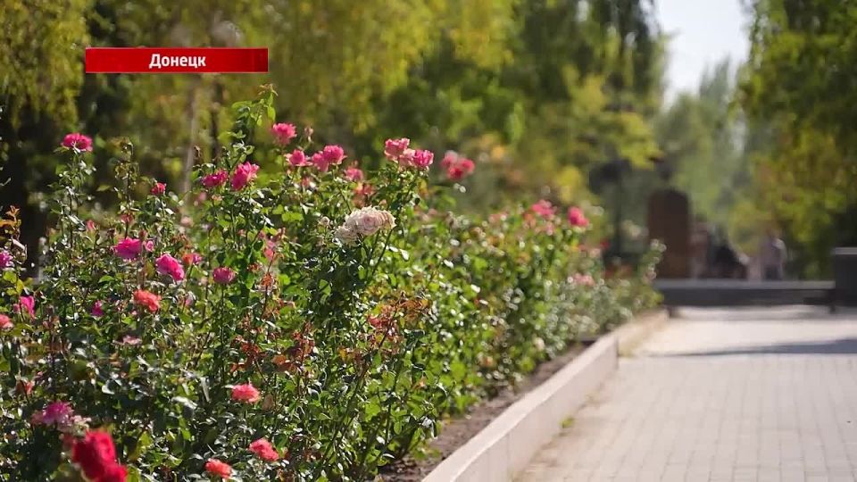 В ДНР продолжается верификация абонентов республиканского оператора связи