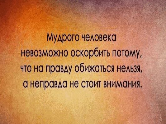 ������ �����. ��������� ���������-24