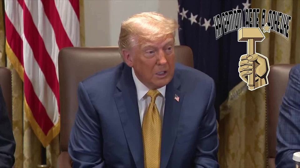 Мирного дня — городу миллионов роз