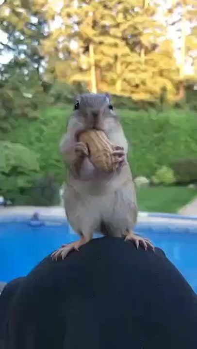 Доброе утро, Мариуполь!. Пусть этот день начнётся с хорошего настроения, доброй улыбки, вкусного завтрака и исполнения желаний