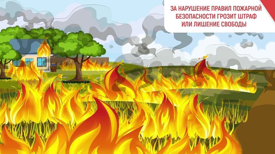 Эти правила важно соблюдать, чтобы не допустить пожара из-за сухой травы!