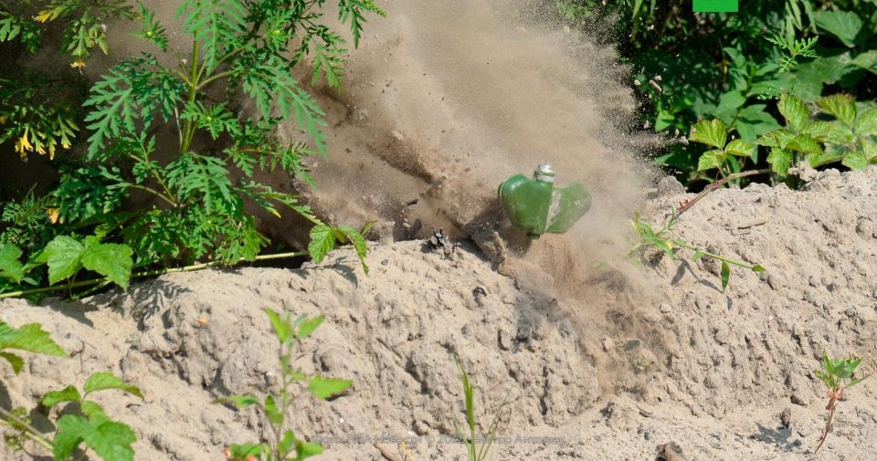ВСУ «Лепестками» и «Колокольчиками» заминировали кладбище в ДНР