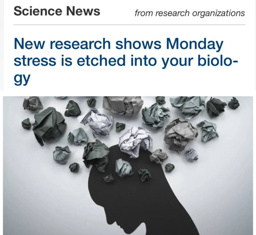 Ученые посоветовали начать любить понедельники