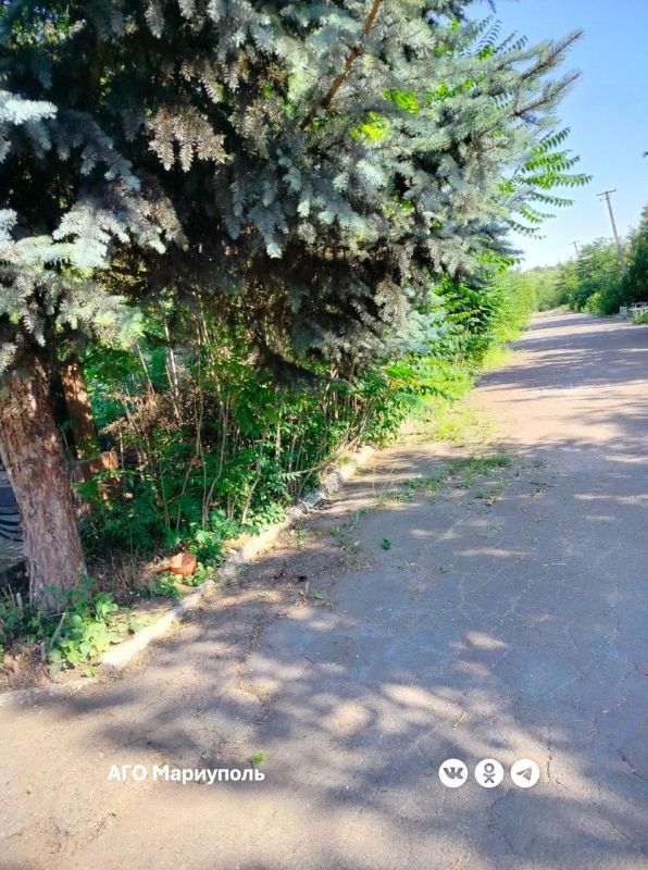 Мариупольские коммунальщики продолжают благоустраивать ритуальные места