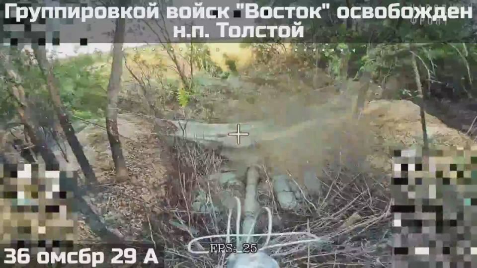 ВС РФ освободили н.п. Толстой в ДНР