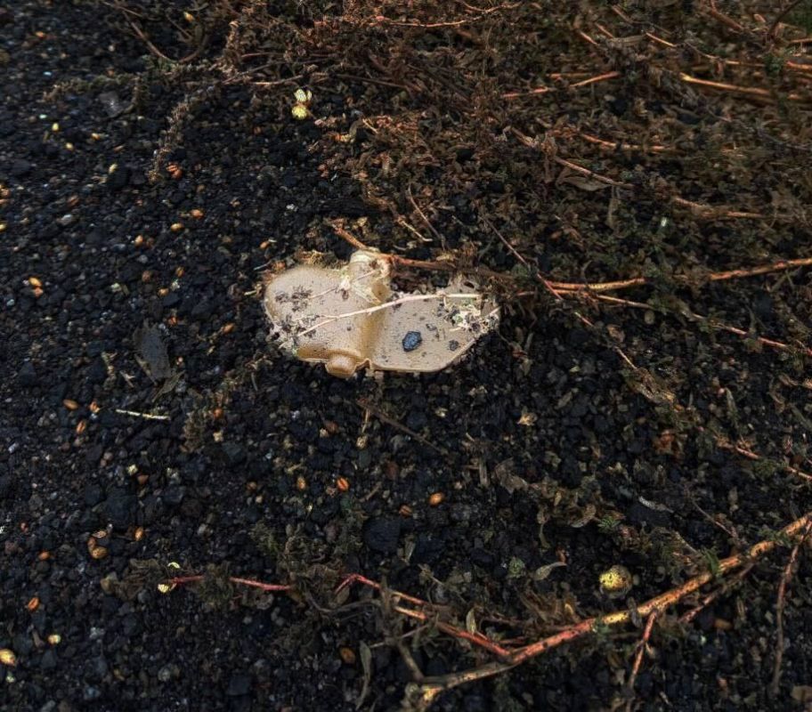 В Горловке два человека получили ранения при детонации украинской мины