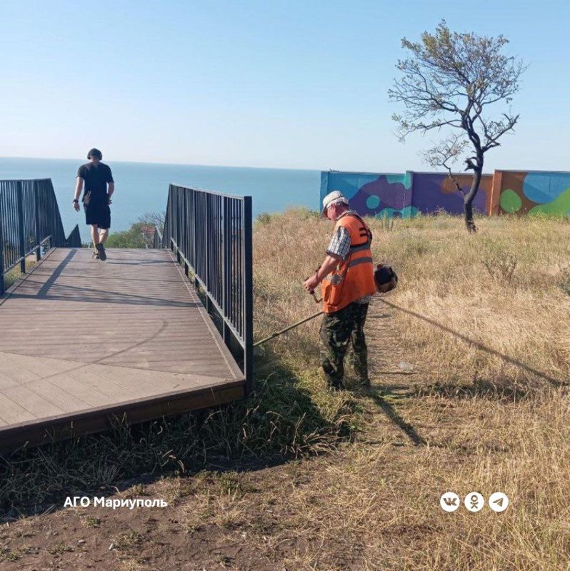 «Зеленстрой» благоустроил зеленую зону у спуска к морю