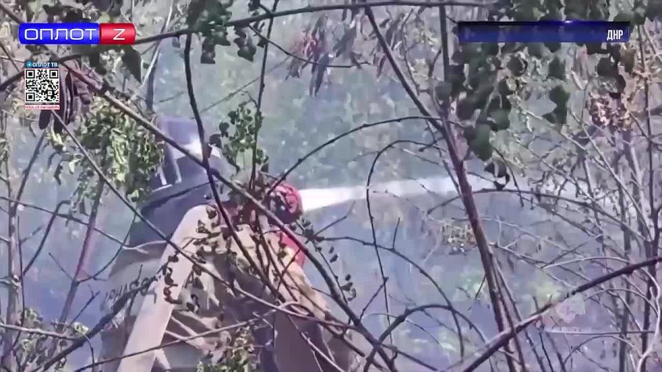 В Республике зафиксировано более 100 возгораний из-за сильного ветра и жары