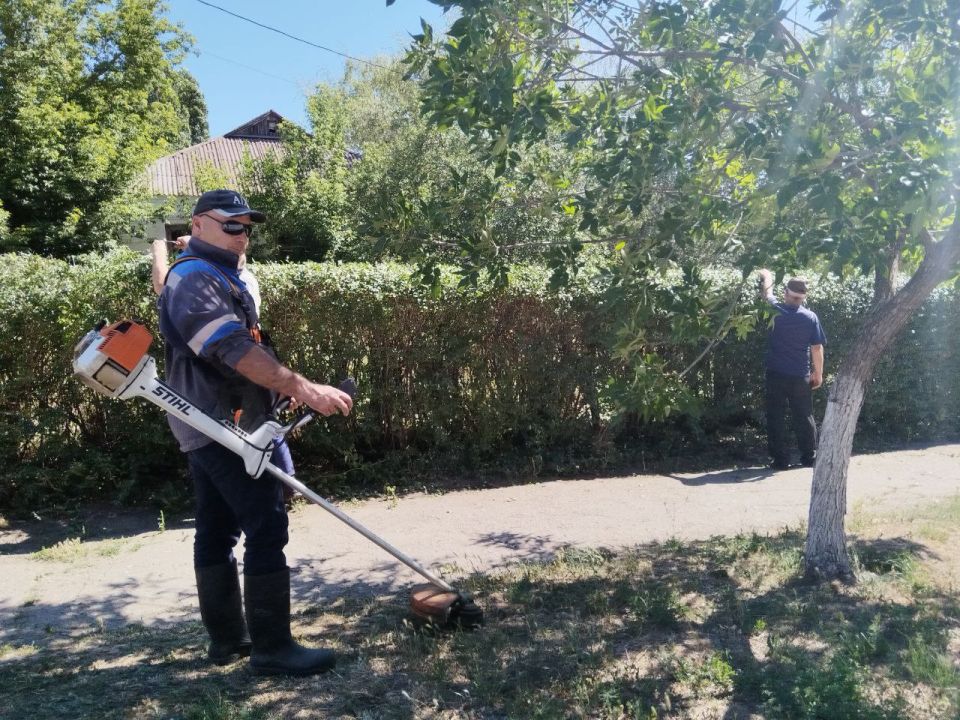 Сергей Юзвинкевич: Во исполнение поручения Главы Донецкой Народной Республики Пушилина Дениса Владимировича в Володарском муниципальном округе ведутся работы по покосу сорных и карантинных трав