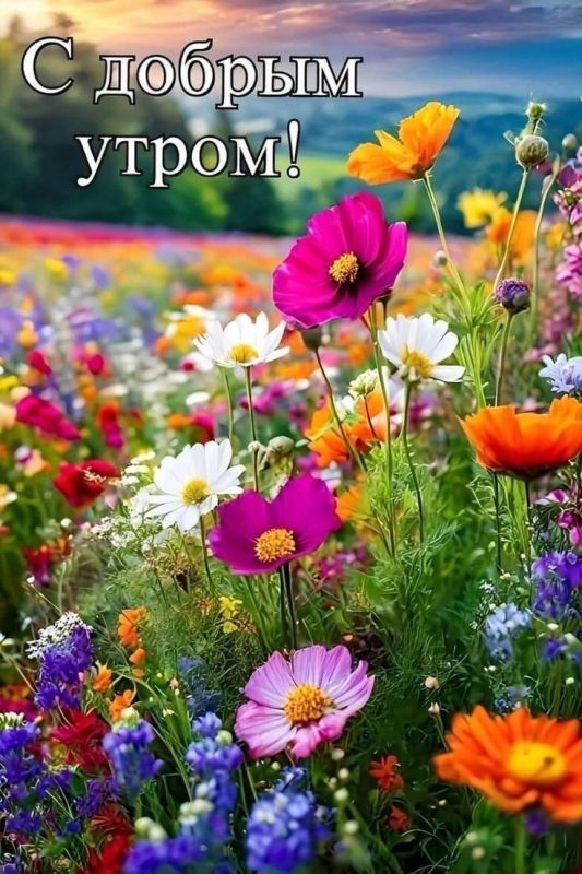 #доброе_утро