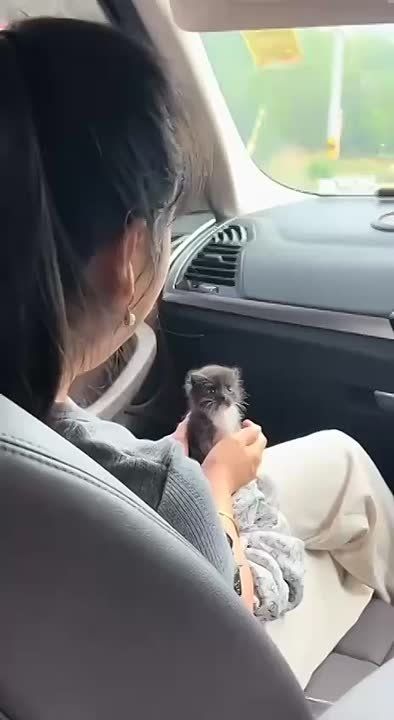 Когда ты только проснулся, а тебя уже куда-то везут в душном переполненном автобусе