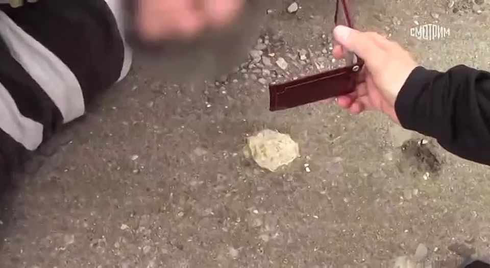 Двое подозреваемых в сотрудничестве с военной разведкой Украины задержаны в Мелитополе, они передавали противнику сведения о местах дислокации личного состава и военной техники ВС России, сообщили в ФСБ