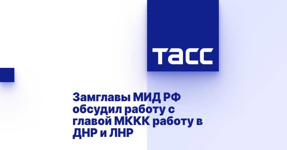 Замглавы МИД Вершинин встретился президентом МККК Сполярич в Женеве