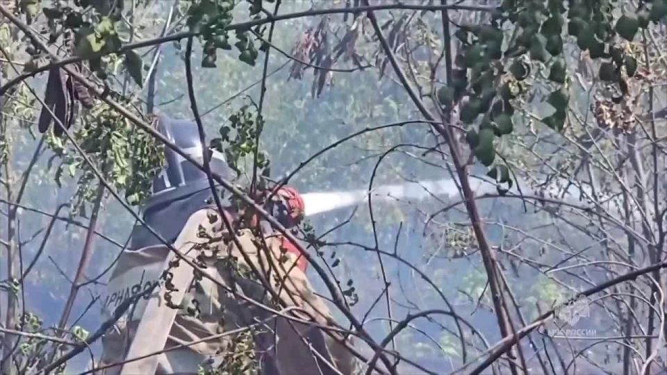 Более 500 сотрудников МЧС России ликвидируют ландшафтные пожары в ДНР
