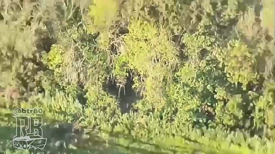 Покровское (Красноармейское) направление: продвижение в районе Зверового