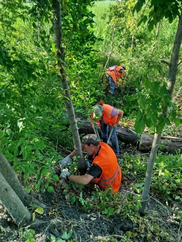 Коммунальщики Снежного продолжают благоустраивать территории общего пользования