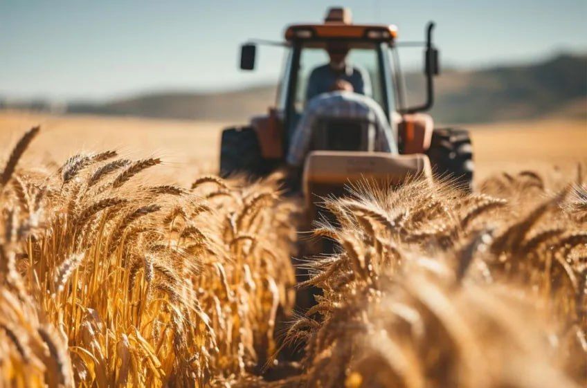 Наталья Великодная: По итогам проведения предварительного агрономического совещания Министерством сельского хозяйства, пищевой и перерабатывающей промышленности с органами местного самоуправления Донецкой Народной...