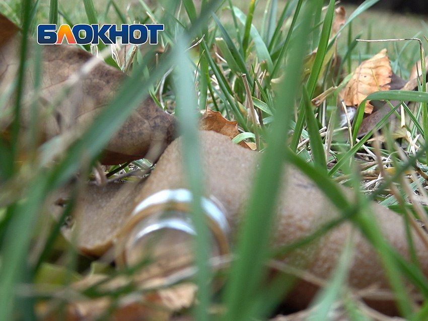 В Горловке мирные жители подорвались на мине «Лепесток»