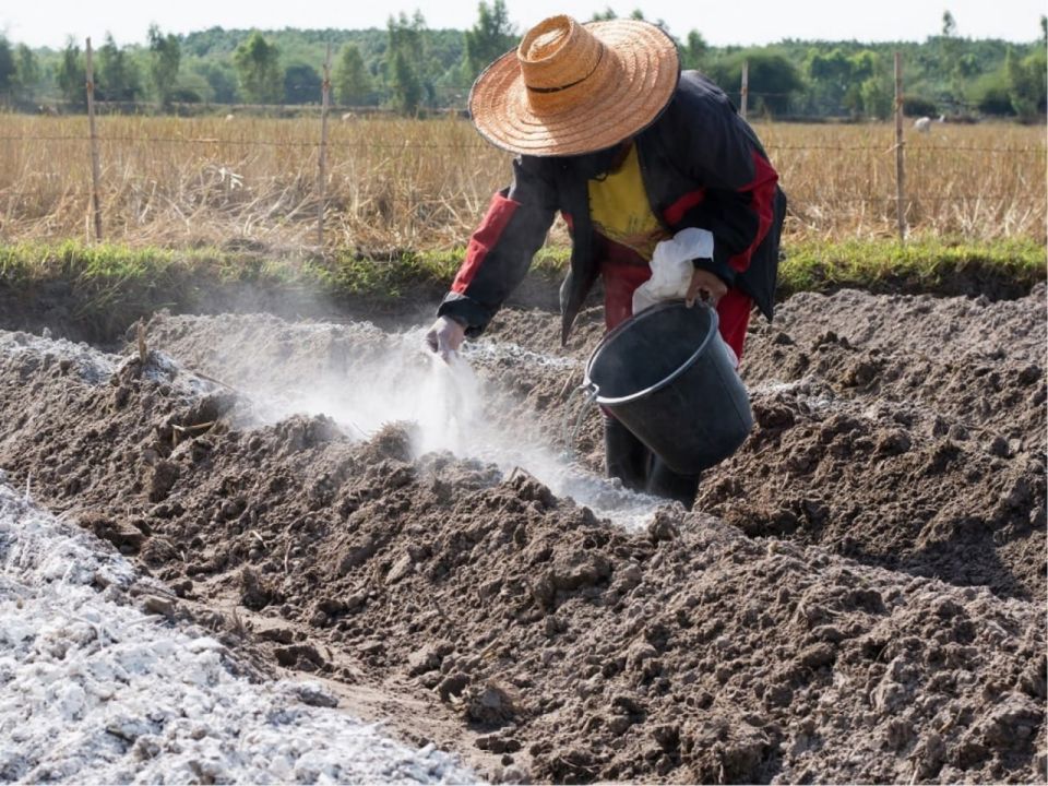 Агрофизические состояние почв в условиях интенсивного сельскохозяйственного использования зависит от многих факторов, которые влияют по-разному