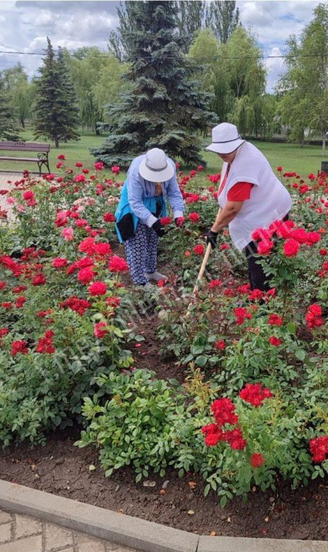 Сотрудники Дирекции парков регулярно проводят ряд работ по благоустройству территорий