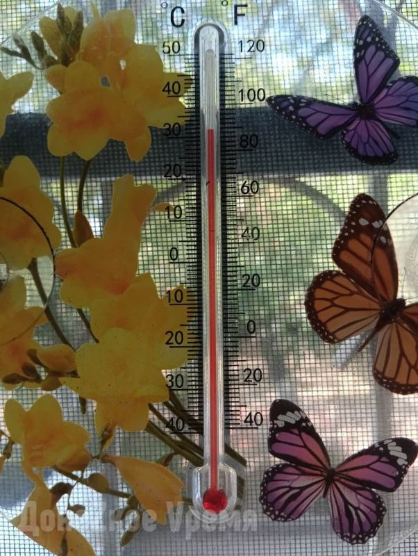 Прохладнее в Донецке пока не станет: аномальная жара отступит только в конце следующей недели