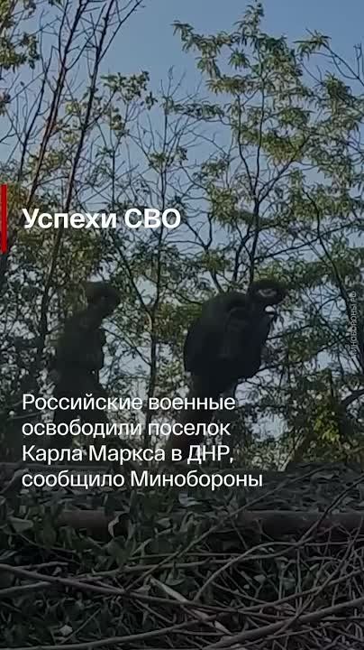 ������� ������� �� ����:. ����� ���������, ������ 25 ��� ����� ������ �������, ��� �� ����� ���� ����������� ������ ���������� � ������ � ������ ��� ����� ��� � �� �� ���������� ������� ����� ������ � ���������� � ��� �����...