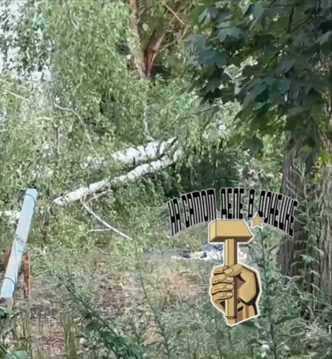 ���������� �������: ������ ��� ������ �������� 10-������� ������, ������� ����� ������� �� ����� ���������� � ������� �� ����� �������