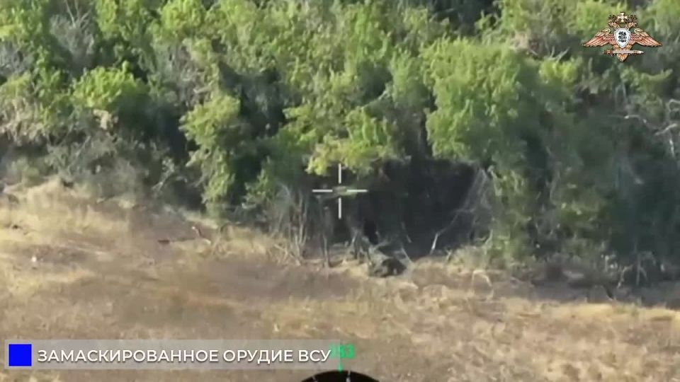 Ликвидация орудия «Д-30» ВСУ в районе Артемовки