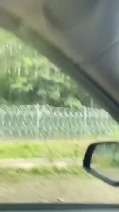 Житель западной Украины показал колючую проволоку на западных границах Украины