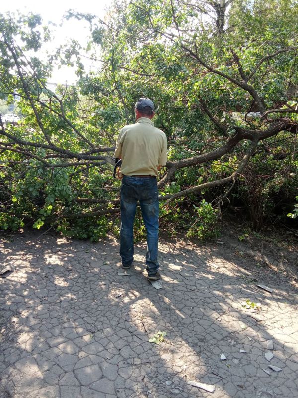 Силами коммунальных предприятий были проделаны работы по наведению чистоты и порядка на территории г. Моспино: