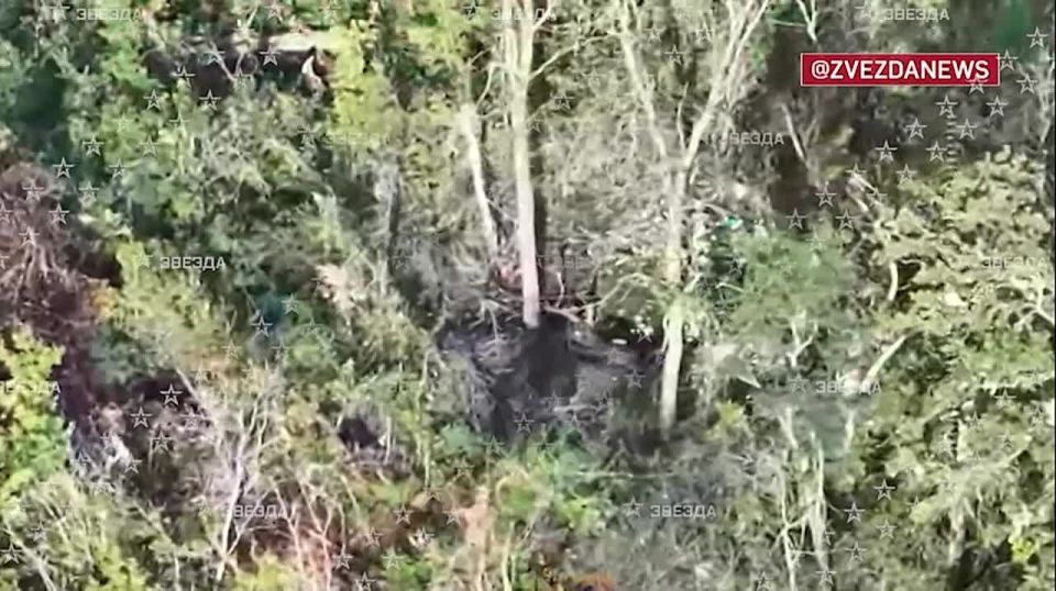 "За каждые 100 метров воюем в этой посадке" — наши бойцы показали корреспонденту "Звезды" Владиславу Кустову зачистку блиндажей украинских боевиков в районе Часов Яра в ДНР