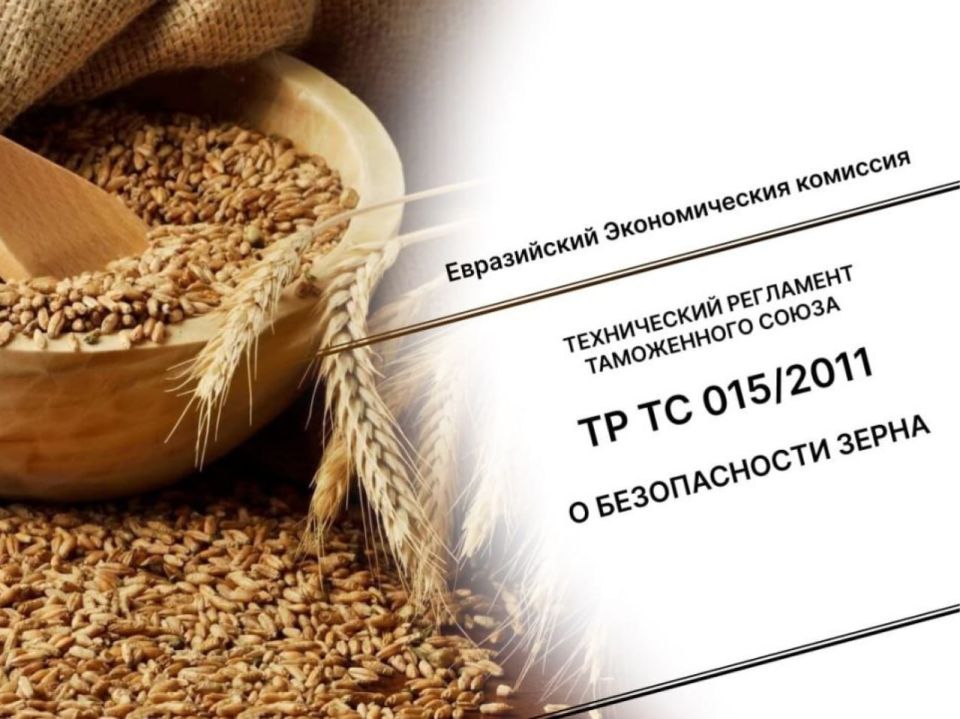 Декларирование зерна – подтверждение безопасности и качества сельскохозяйственной продукции