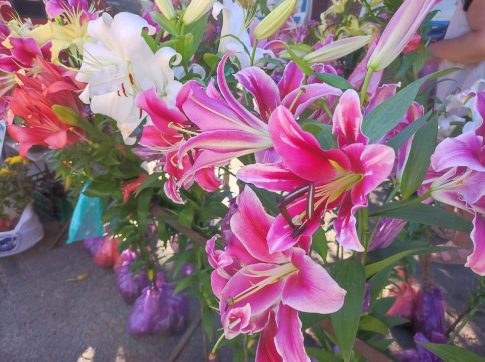 Александр Качанов: В Докучаевске на центральной площади прошла ярмарка