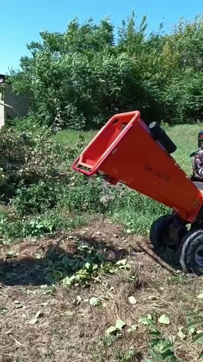 ������� ���� � �� ������ ������