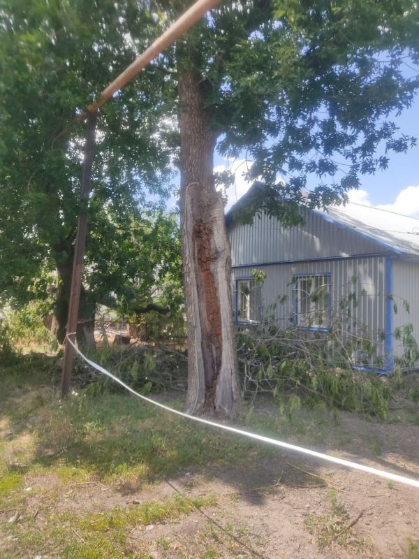 Александр Качанов: В администрации городского округа Докучаевск создана Комиссия по обследованию состояния зеленых насаждений в пределах границ муниципального образования городской округ Докучаевск Донецкой Народной...