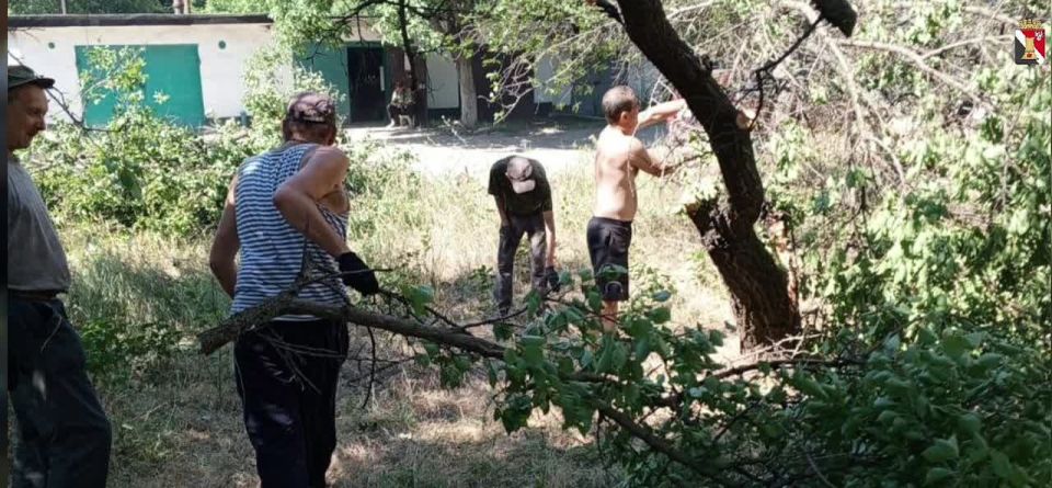 Игорь Мартынов: По поручению главы Донецкой Народной Республики Дениса Пушилина в городском округе Енакиево проводятся работы по удалению аварийных и сухостойных деревьев