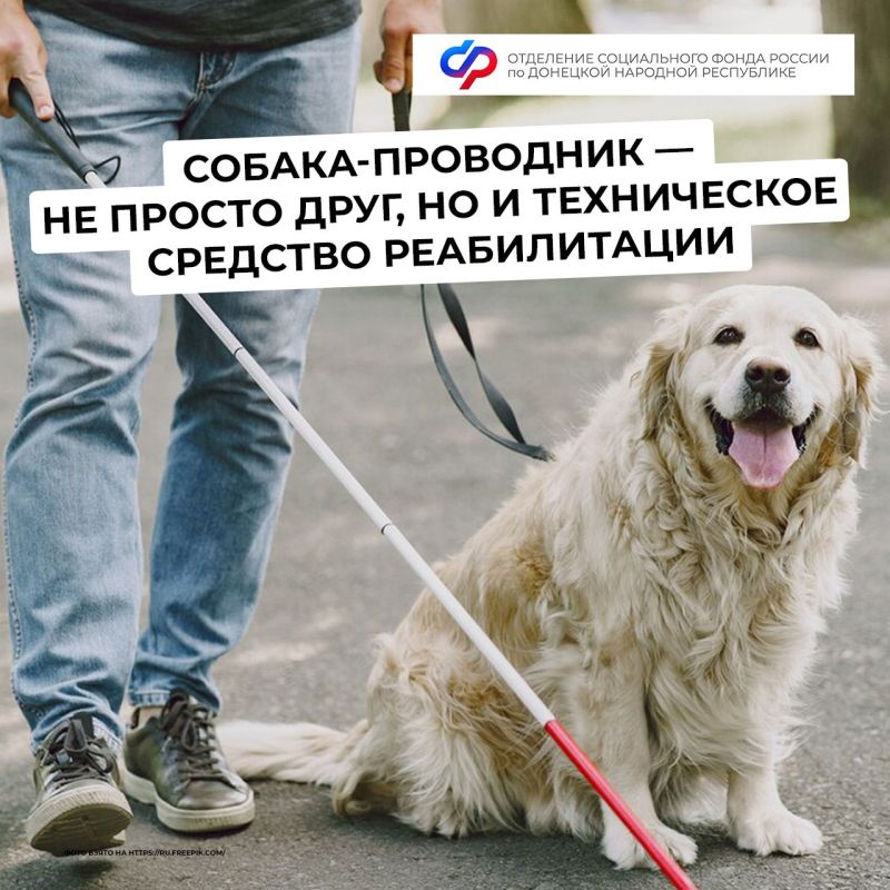 ��� �������� ������-����������