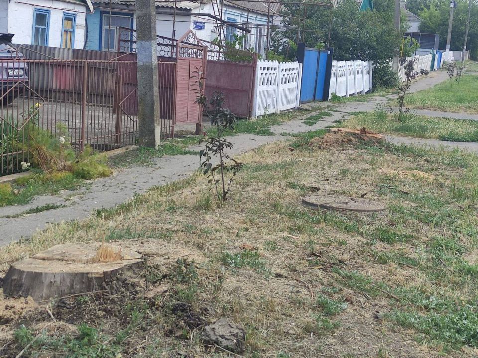 Сергей Юзвинкевич: Во исполнение поручения Главы Донецкой Народной Республики Дениса Владимировича Пушилина в населённых пунктах Володарского муниципального округа активизирована работа по спилу аварийных деревьев, которая...