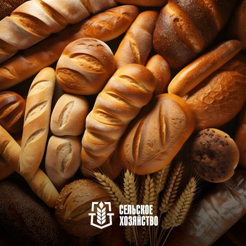 Отбор заявок на предоставление субсидий на поддержку производства и реализацию хлеба и хлебобулочных изделий