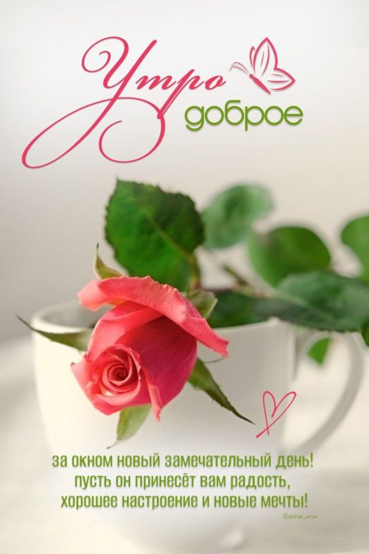 #доброе_утро
