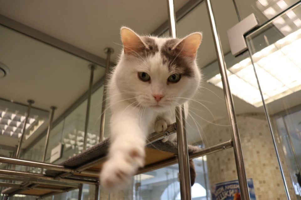 ������ ����������: ������� �������: ��������� ���� ����� ���� � �������� � ������ ����� ���������