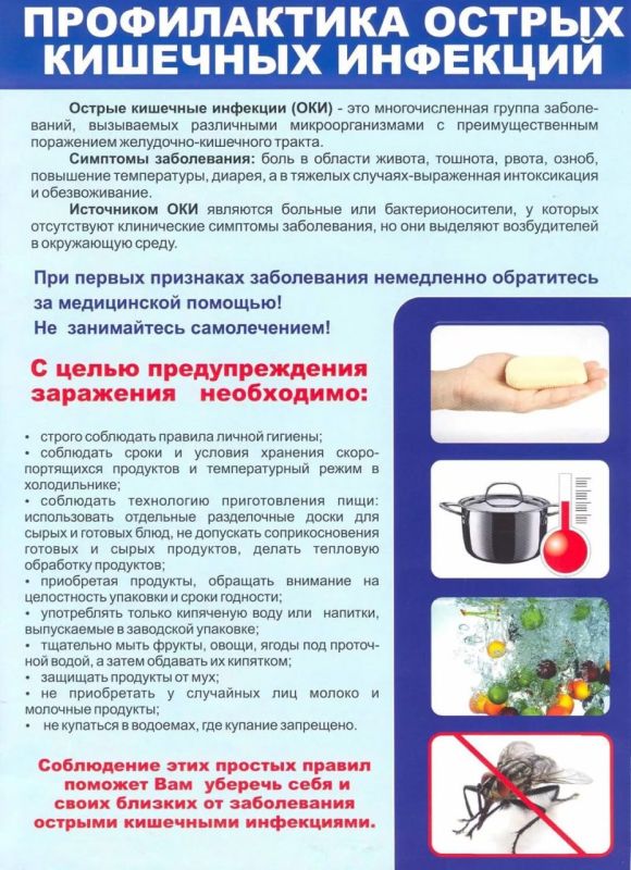 Профилактика острых кишечных инфекций