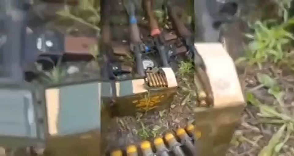 Владимир Рогов: Раскрыт крупный схрон с оружием