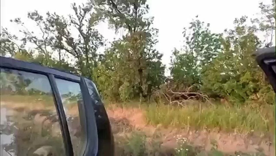 Чингис Дамбиев: Боевики украинских формирований осуществляют визуальный контроль прилета русского fpv-дрона по своему пикапу на Южно-Донецком направлении