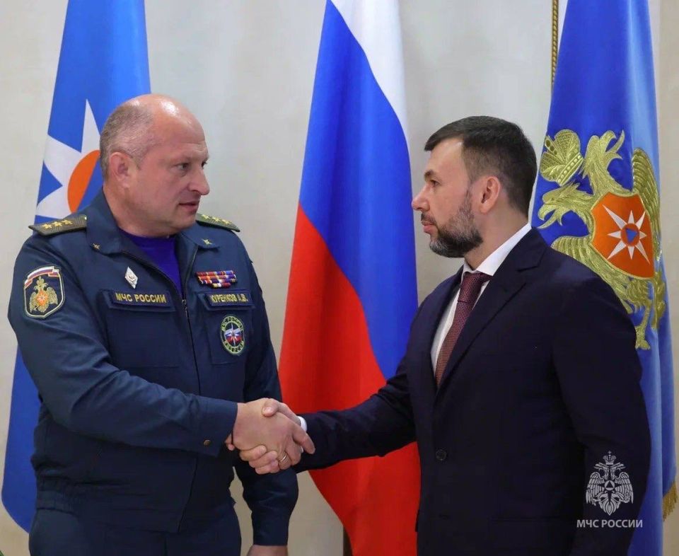 Сергей Прокопенко: Денис Владимирович Пушилин